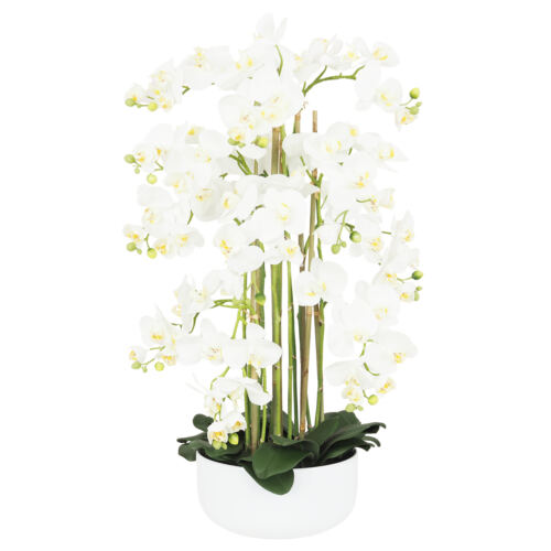 Orchidée artificielle 80 cm sur fond blanc