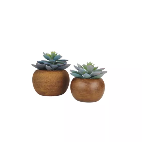 Succulente artificielle lot de 2 pot bois 15cm sur fond blanc