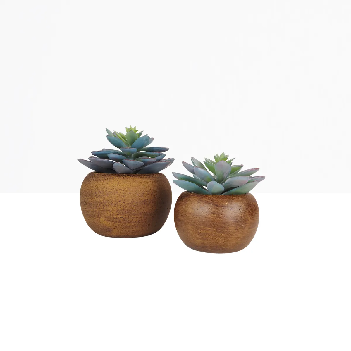 Succulente artificielle lot de 2 pot bois 15cm sur fond beige