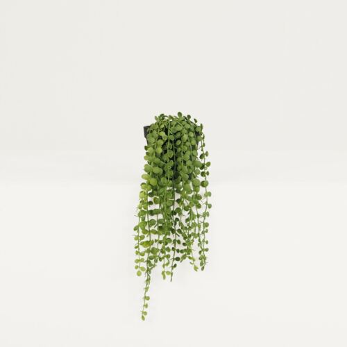 Plante succulente retombante artificielle 40cm sur fond beige
