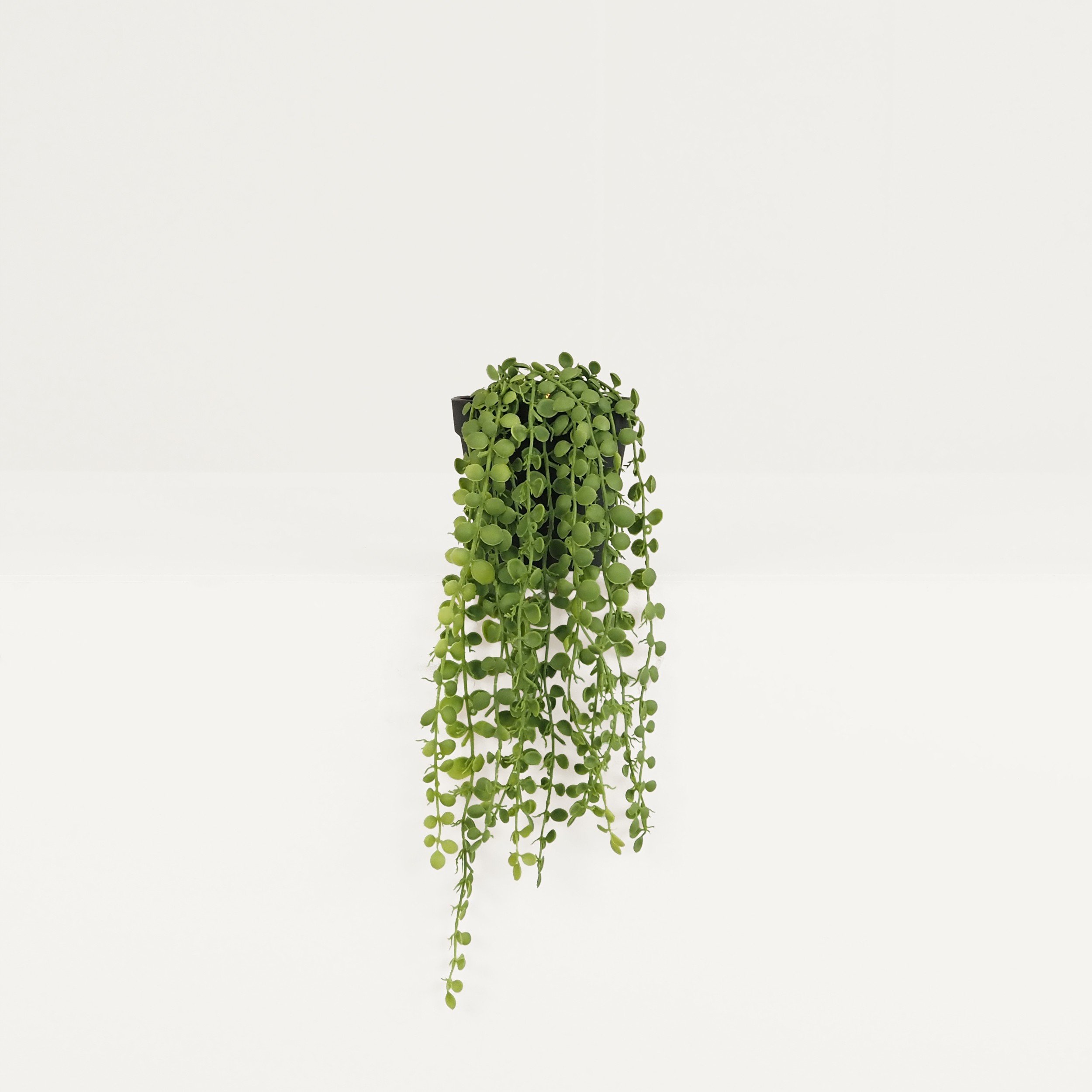 Plante succulente retombante artificielle 40cm sur fond beige