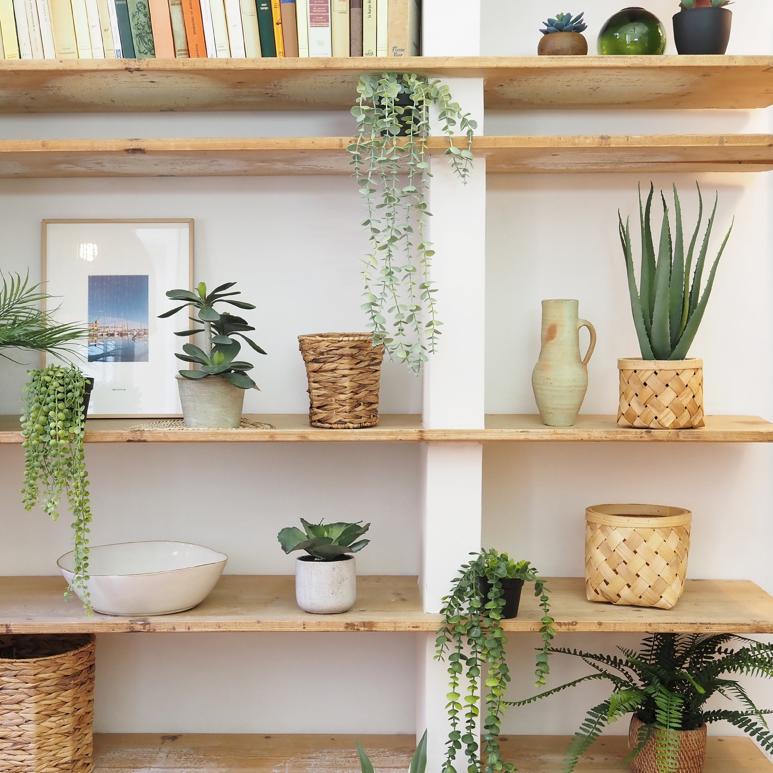Plante succulente retombante artificielle 40cm en ambiance avec d'autres produits sur une étagère