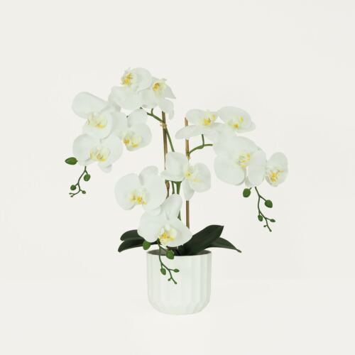 Orchidée artificielle blanche 52cm