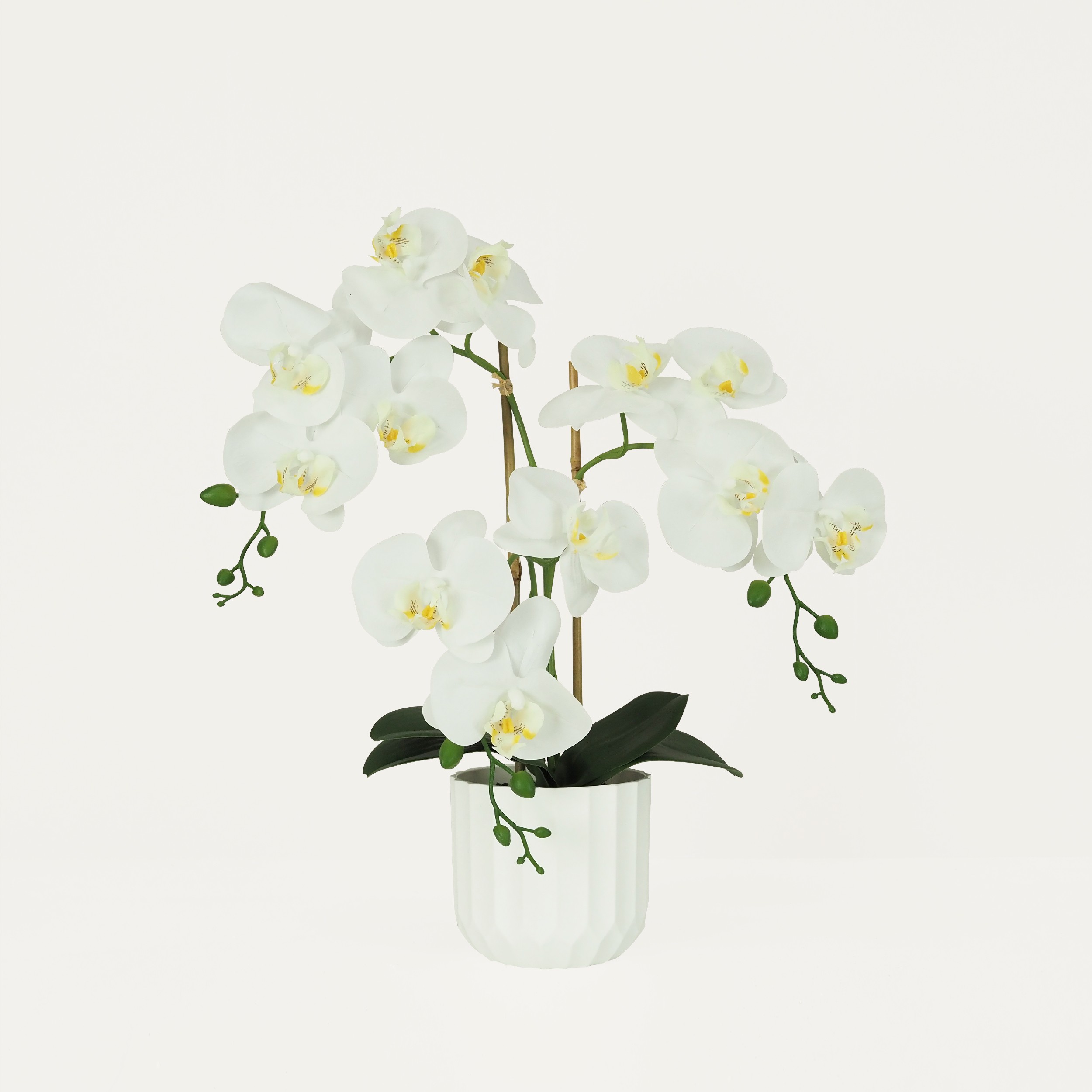 Orchidée artificielle blanche 52cm