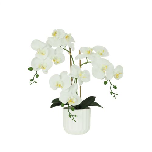 Orchidées artificielles toucher naturel blanc 52cm sur fond blanc