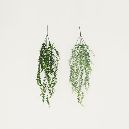 Chute plante artificielle d'eucalyptus 84cm lot de 2 sur fond beige