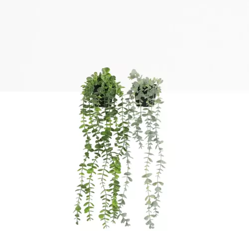 Plante succulente retombante artificielle 50cm lot de 2 sur fond beige