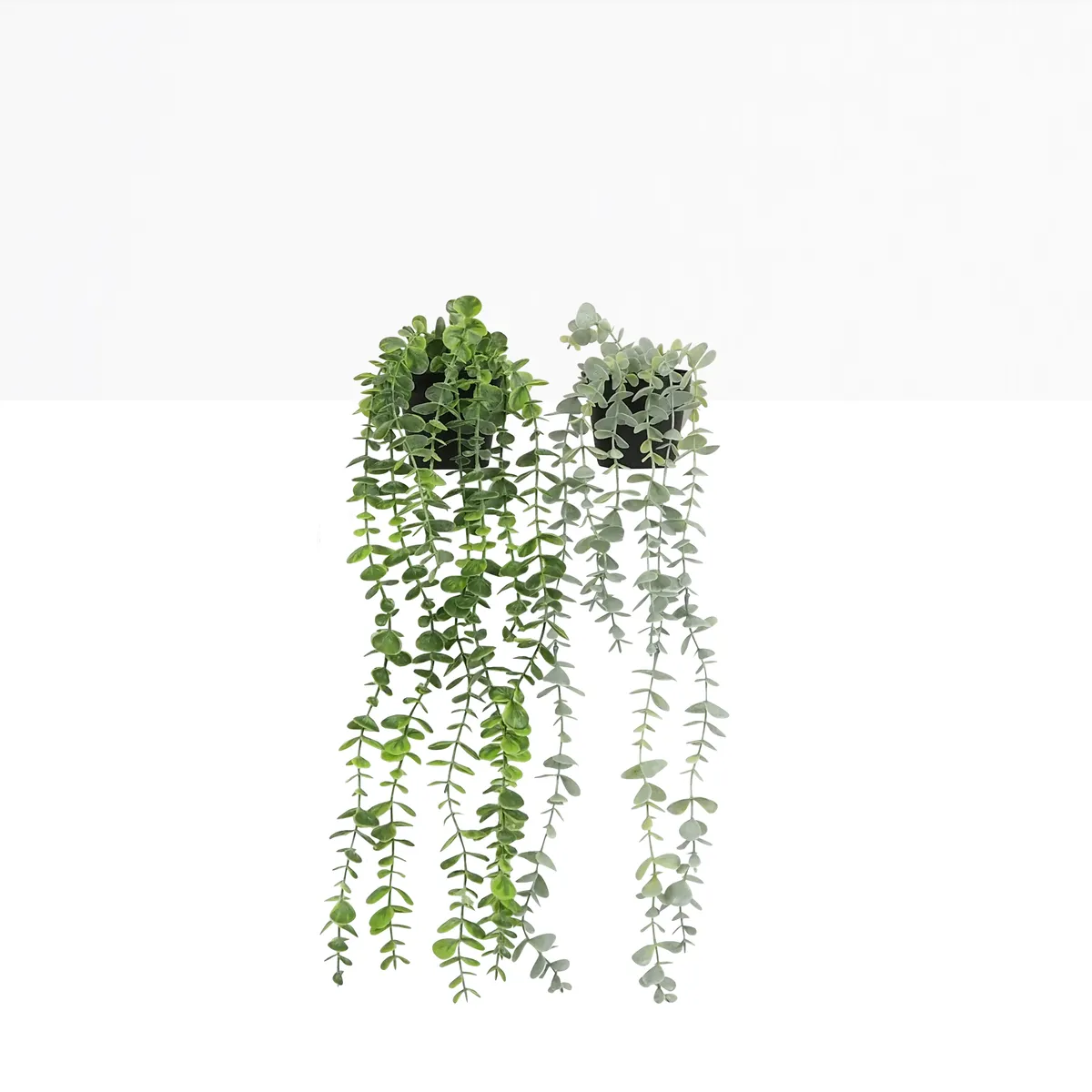 Plante succulente retombante artificielle 50cm lot de 2 sur fond beige