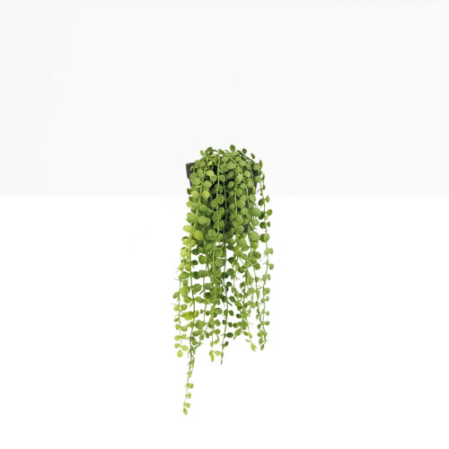 Plante succulente retombante artificielle 40cm sur fond beige