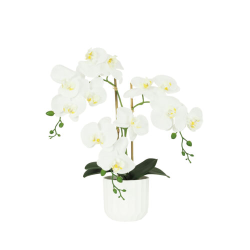 Orchidées artificielles toucher naturel blanc 52cm sur fond blanc