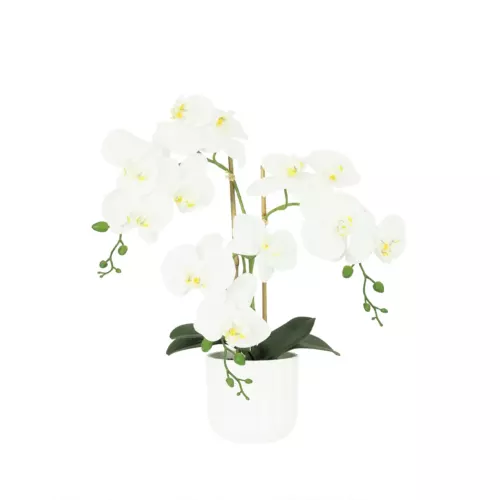 Orchidées artificielles toucher naturel blanc 52cm sur fond blanc