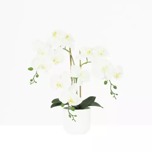 Orchidée artificielle blanche 52cm sur fond beige