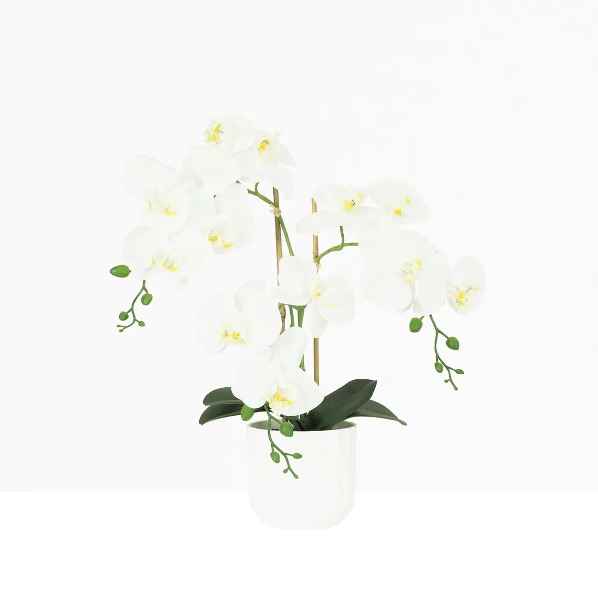 Orchidée artificielle blanche 52cm sur fond beige