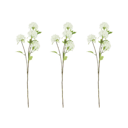 Tige de 4 pompons artificiels blanc 75cm lot de 3 sur fond blanc