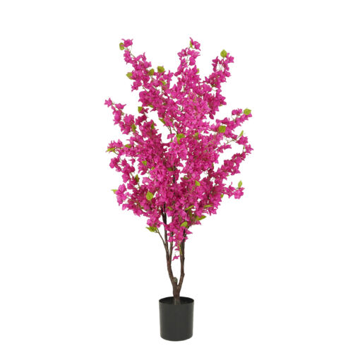 Bougainvillier artificiel fuchsia 175cm sur fond blanc