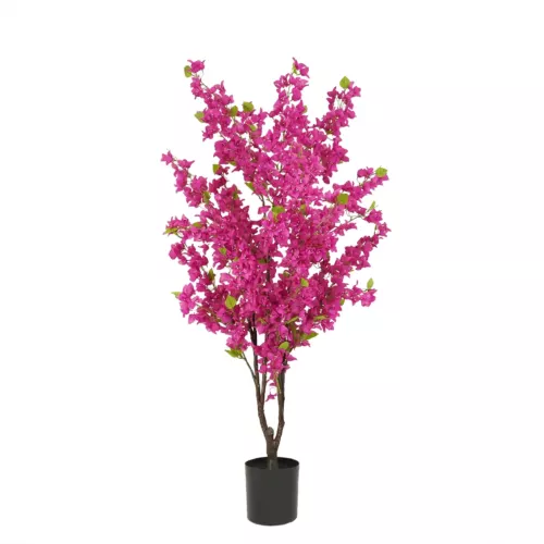 Bougainvillier artificiel fuchsia 175cm sur fond blanc