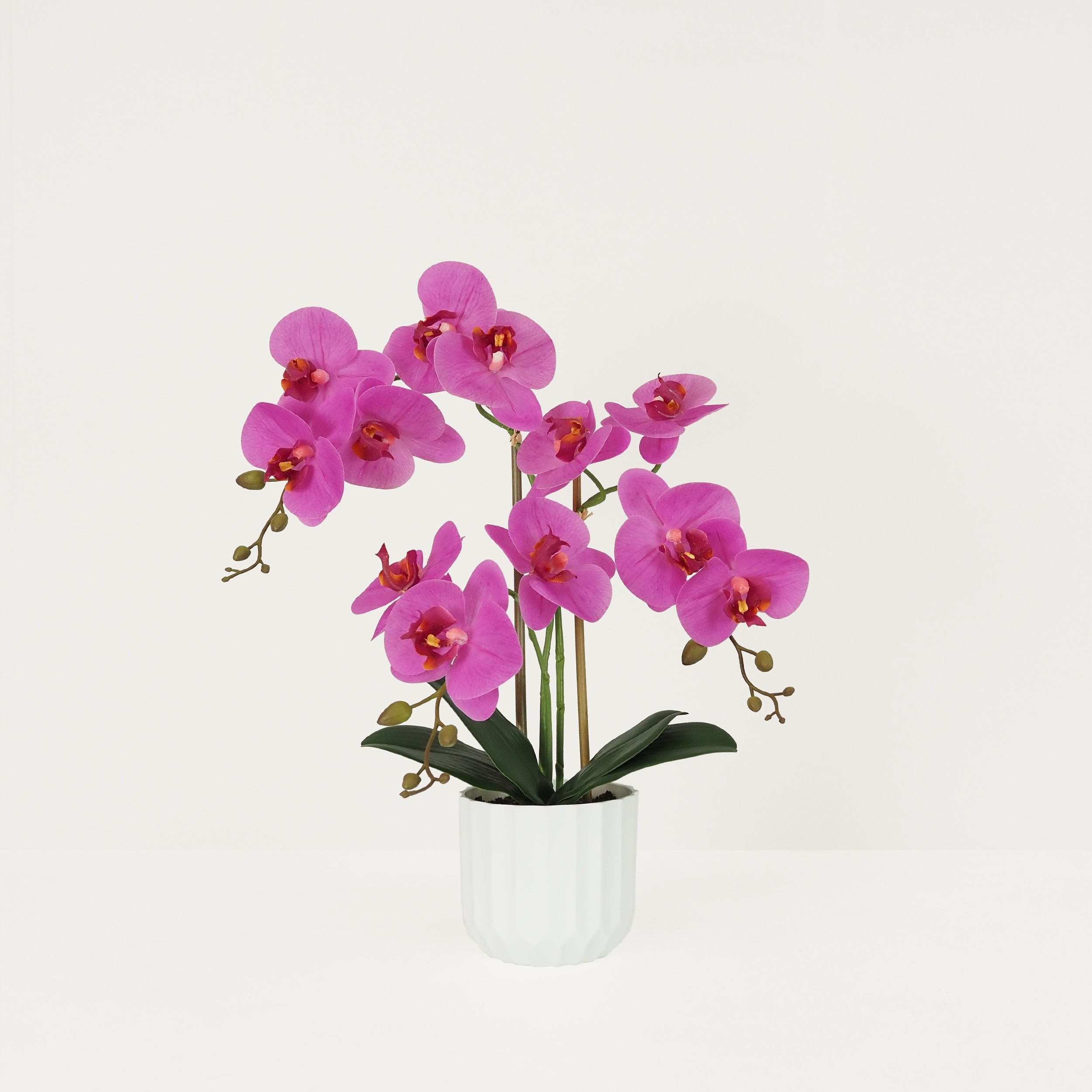 Orchidée artificielle fuchsia 50cm sur fond beige