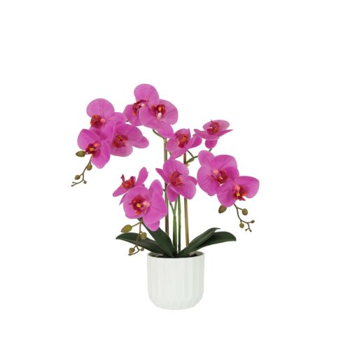 Orchidée artificielle fuchsia 50cm sur fond blanc