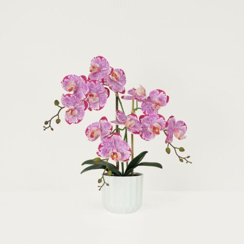 Orchidée artificielle fuchsia mouchetée 50cm sur fond beige