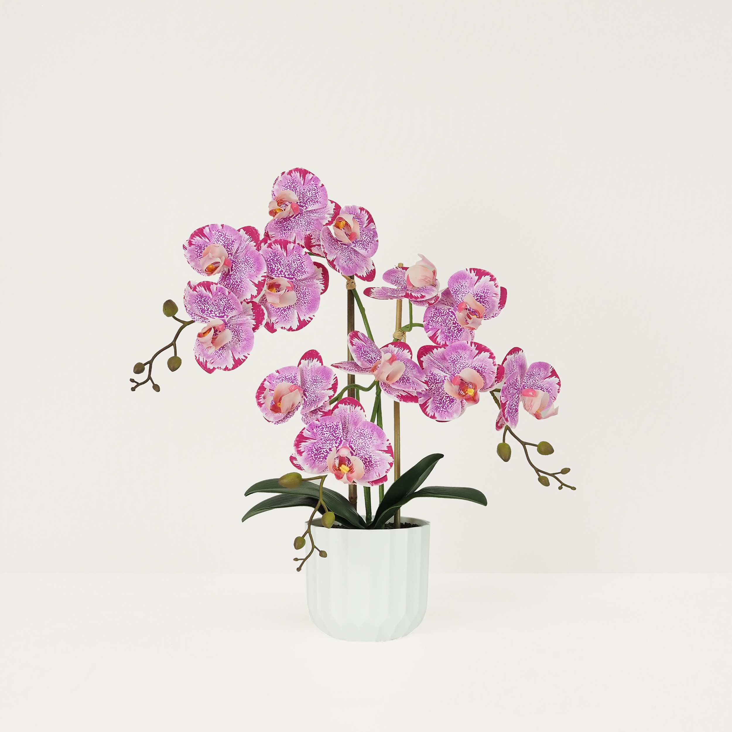 Orchidée artificielle fuchsia mouchetée 50cm sur fond beige