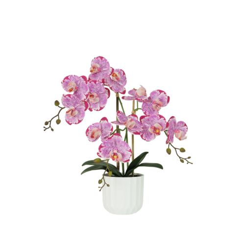 Orchidée artificielle fuchsia mouchetée 50cm sur fond blanc