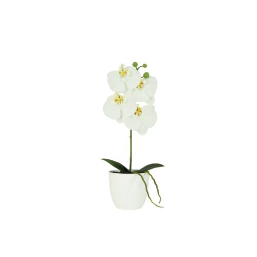 Orchidée artificielle blanche 35cm sur fond blanc
