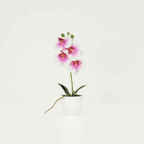 Orchidée artificielle blanc-fuchsia 35cm sur fond beige