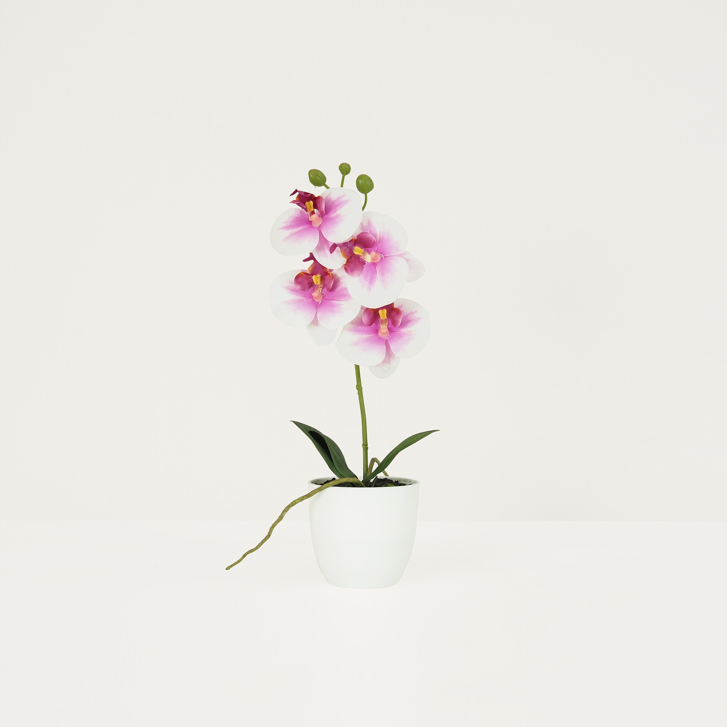 Orchidée artificielle blanc-fuchsia 35cm sur fond beige