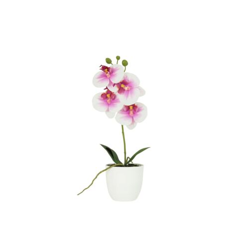 Orchidée artificielle blanc-fuchsia 35cm sur fond blanc