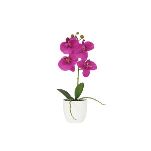 Orchidée artificielle fuchsia 35cm sur fond blanc