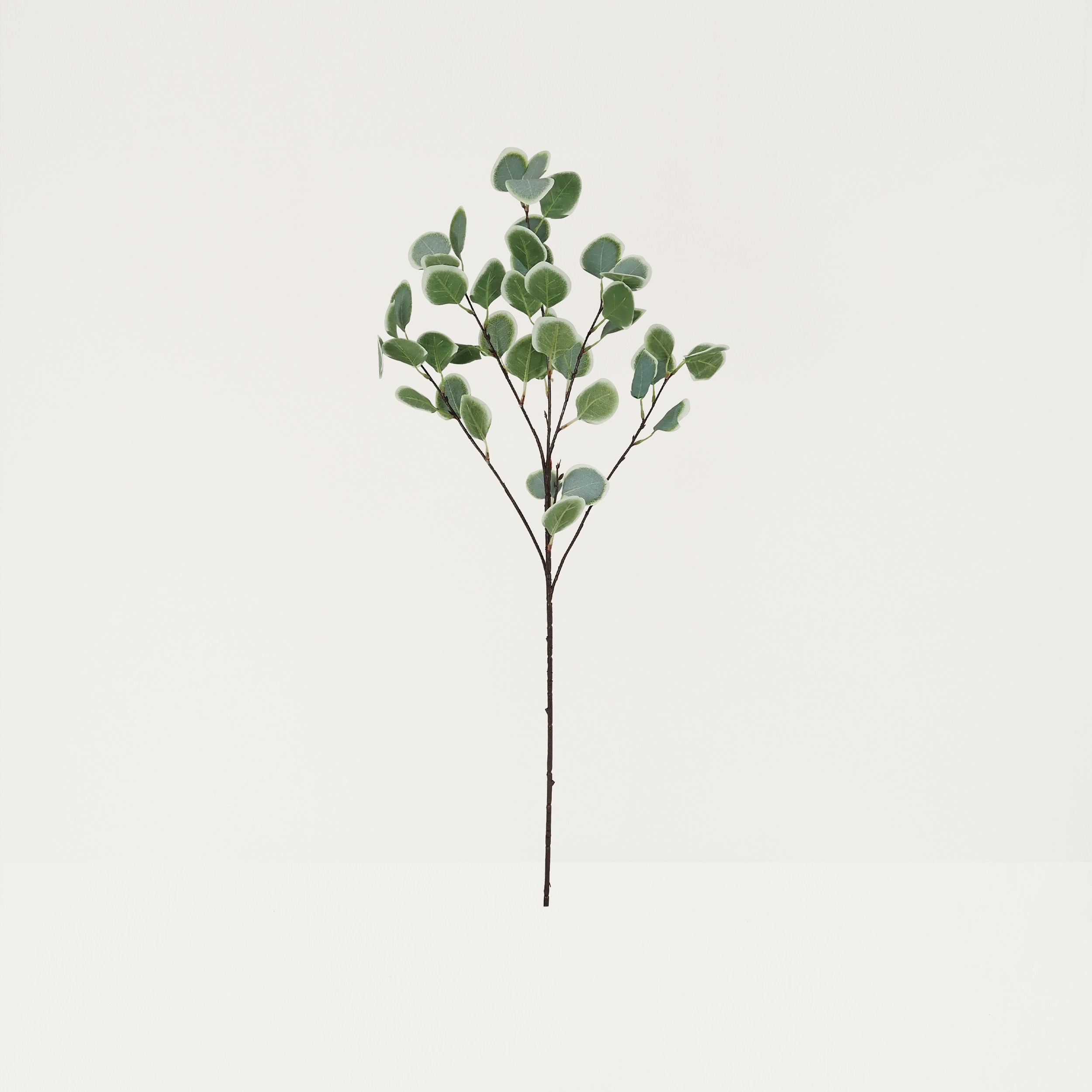 Eucalyptus artificiel en tige 92cm effet blanchi lot de 2 sur fond beige