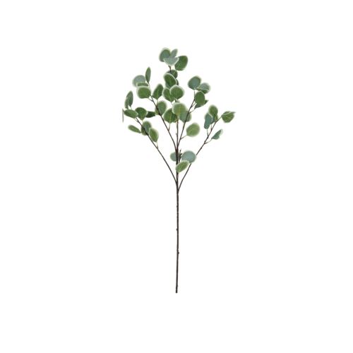 Eucalyptus artificiel en tige 92cm effet blanchi lot de 2 sur fond blanc