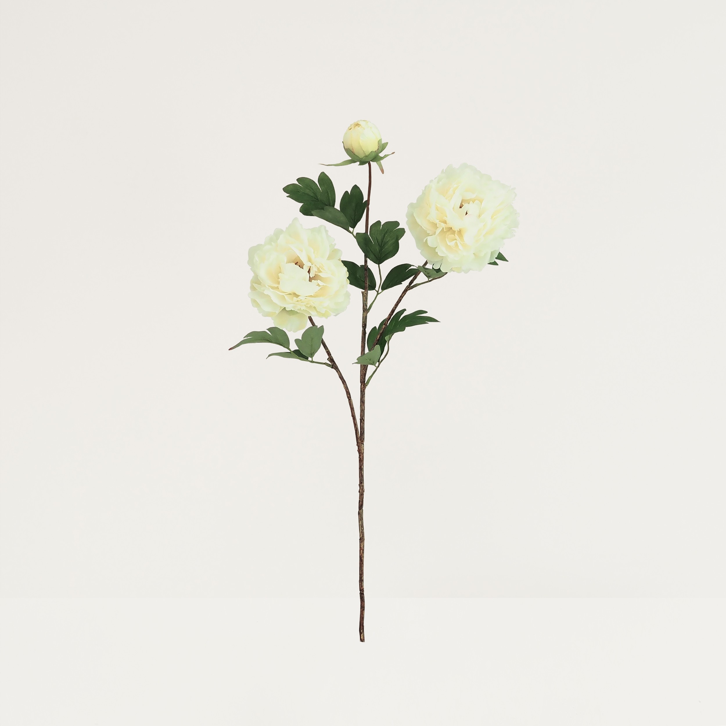 Pivoine artificielle en tige blanche 70cm lot de 4 sur fond beige
