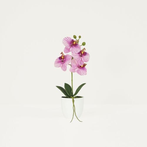 Orchidée artificielle veinée 35cm sur fond beige