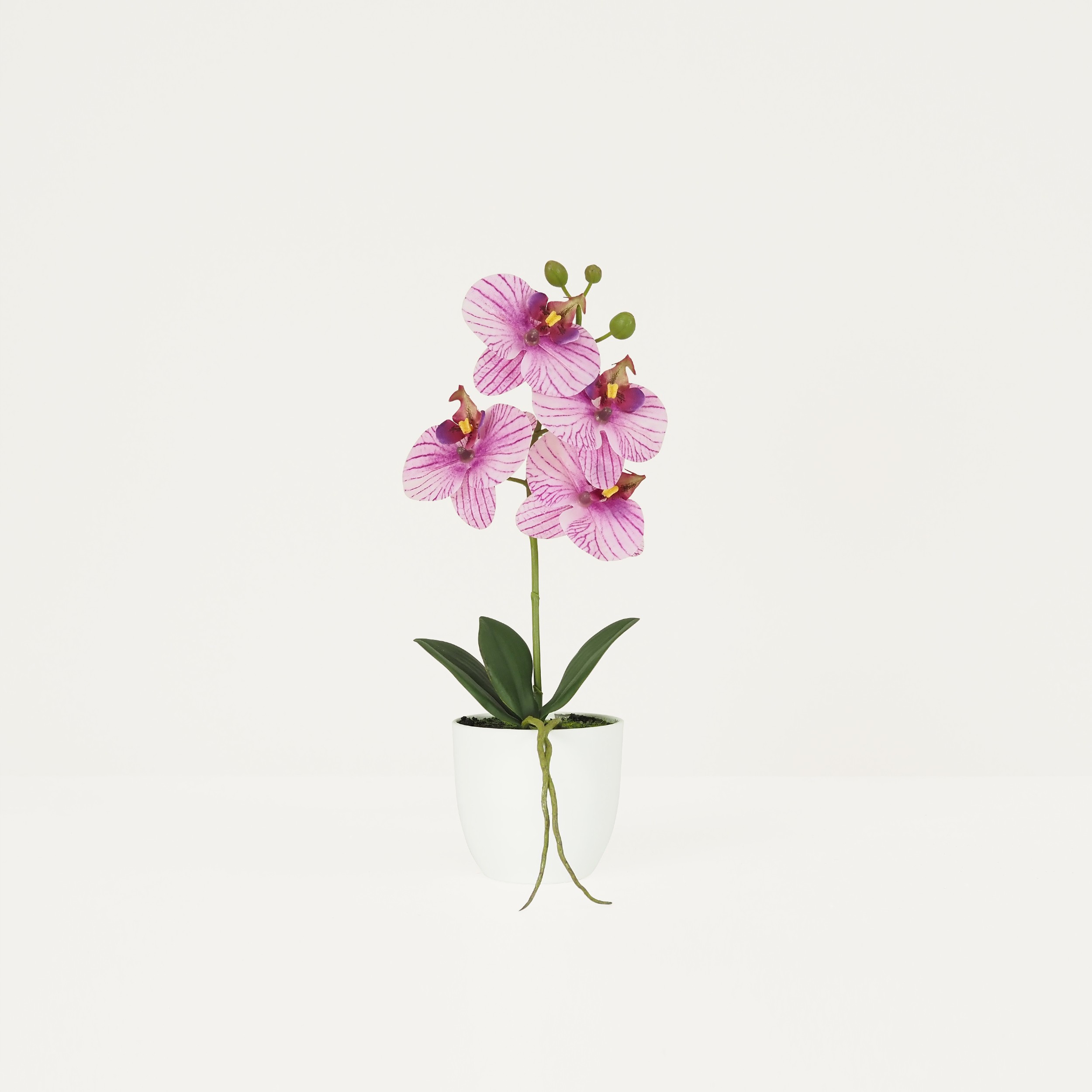 Orchidée artificielle veinée 35cm sur fond beige