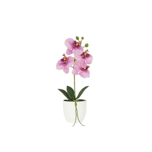 Orchidée artificielle veinée 35cm sur fond blanc