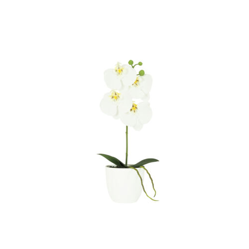 Orchidée artificielle blanche 35cm sur fond blanc