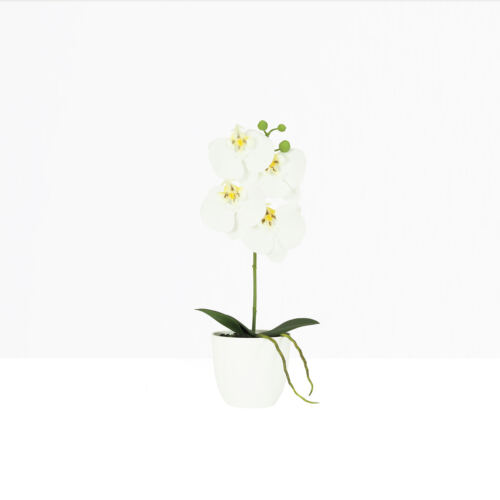 Orchidée artificielle blanche 35cm sur fond beige