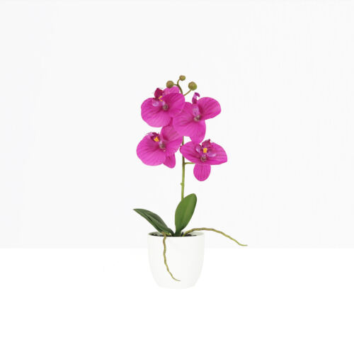 Orchidée artificielle fuchsia 35cm sur fond beige