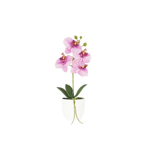 Orchidée artificielle veinée 35cm sur fond blanc