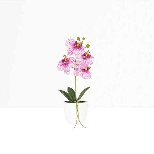 Orchidée artificielle veinée 35cm sur fond beige