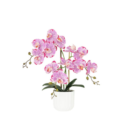 Orchidée artificielle fuchsia mouchetée 50cm sur fond blanc