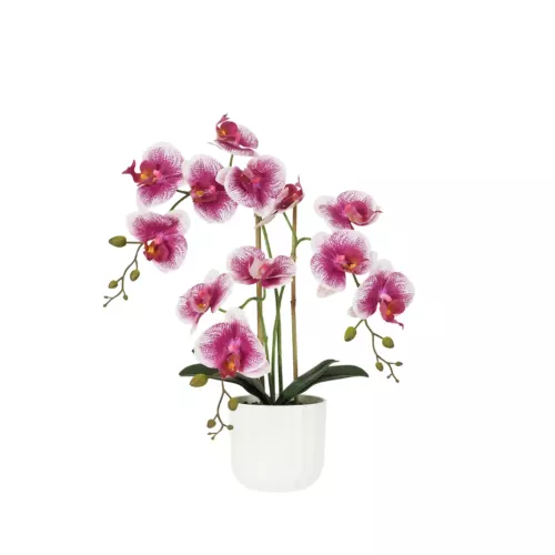 Orchidée artificielle blanc-fuchsia 50cm sur fond blanc