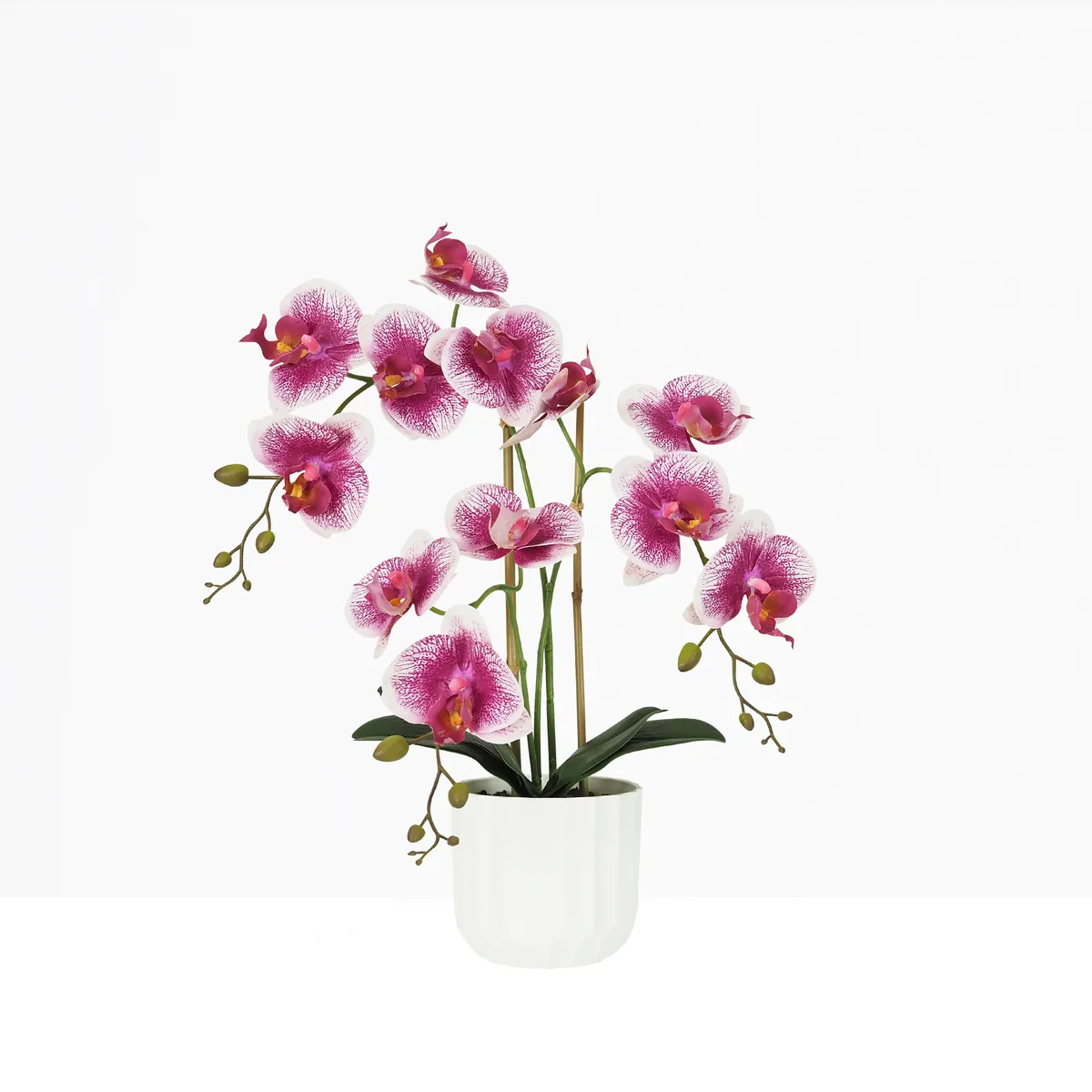Orchidée artificielle blanc-fuchsia 50cm sur fond beige