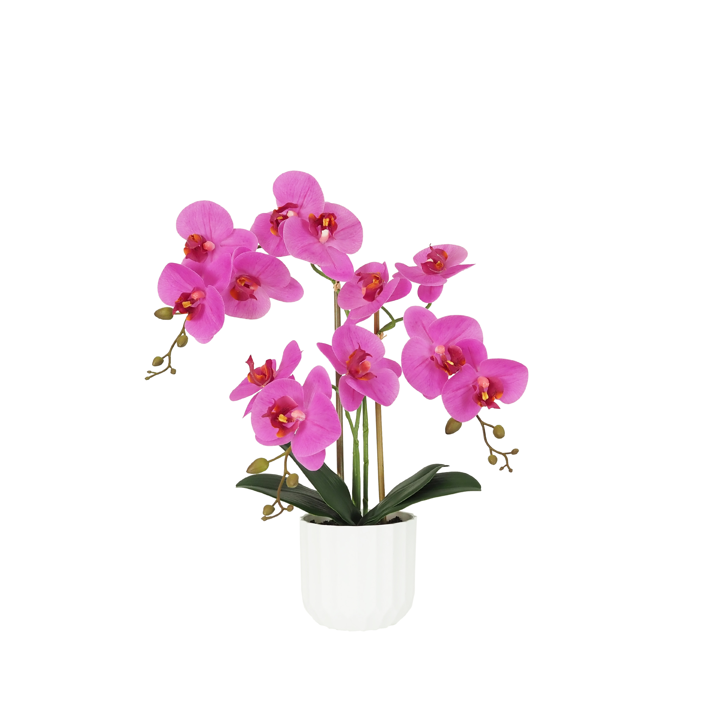 Orchidée artificielle fuchsia 50cm sur fond blanc