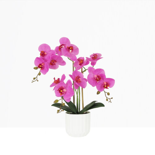Orchidée artificielle fuchsia 50cm sur fond beige