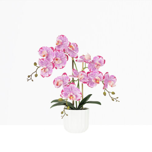 Orchidée artificielle fuchsia mouchetée 50cm sur fond beige