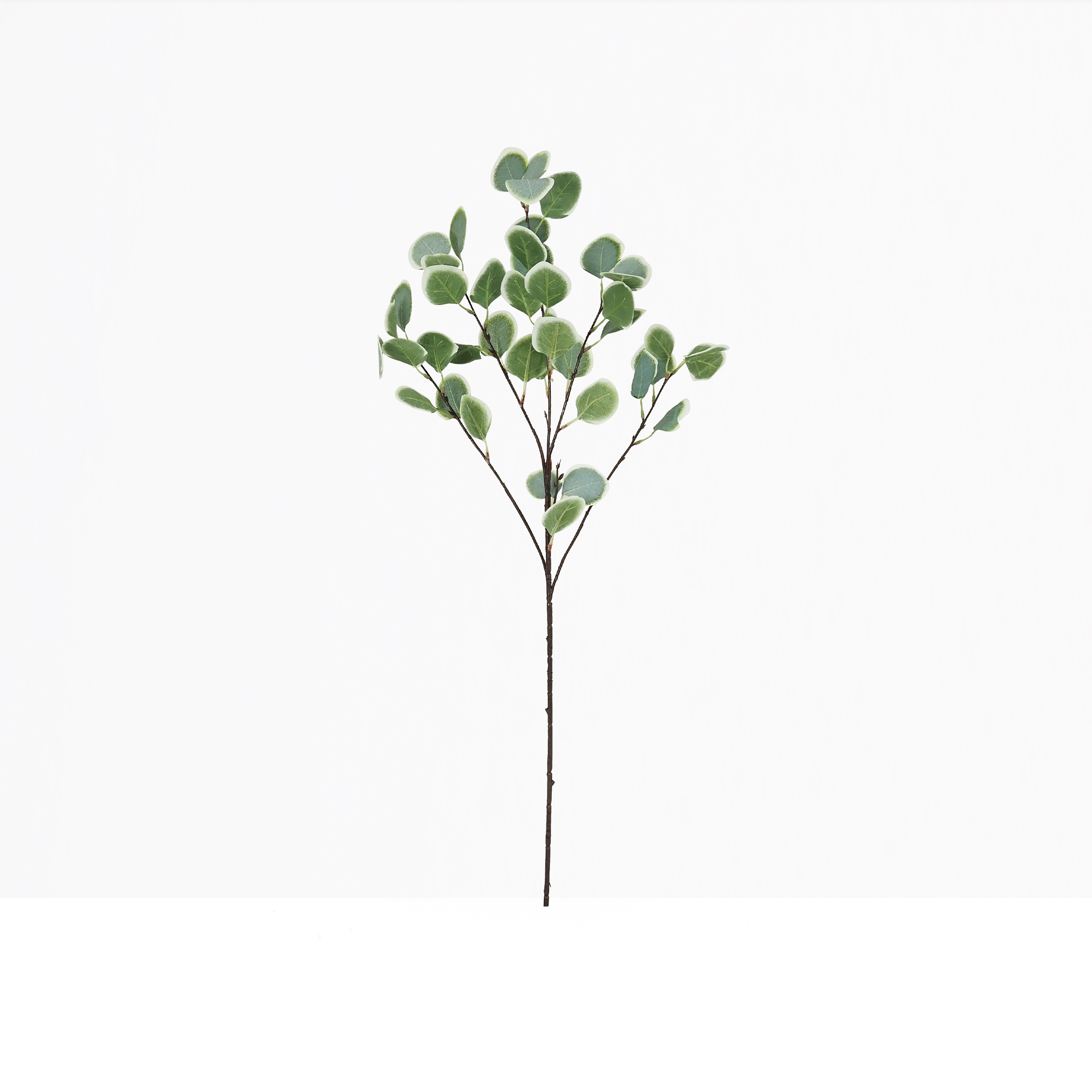 Eucalyptus artificiel en tige 92cm effet blanchi lot de 2 sur fond beige