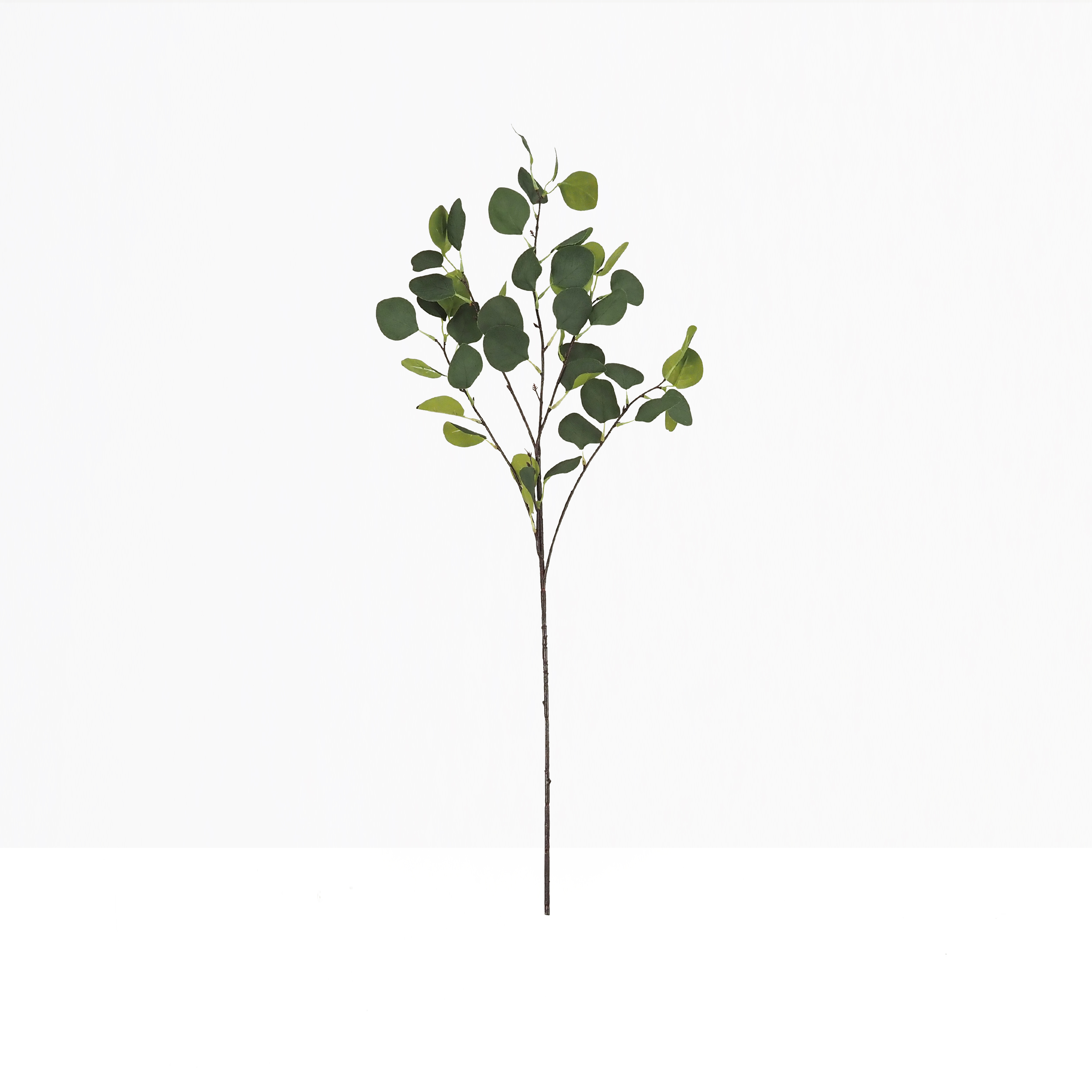 Eucalyptus artificiel en tige 92cm lot de 2 sur fond beige