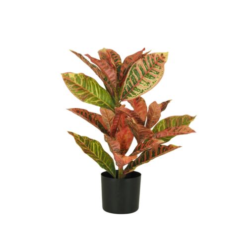 Croton artificiel rouge 55cm sur fond blanc